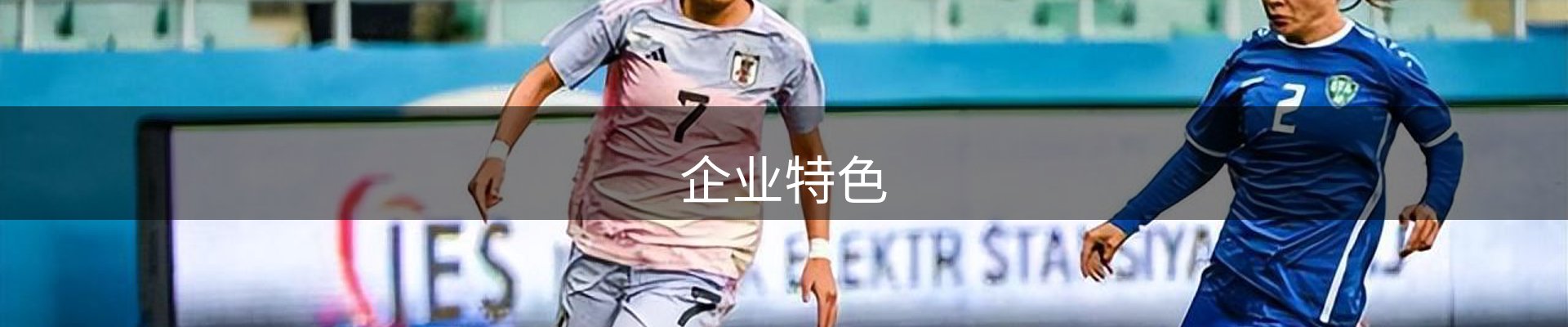 企业特色